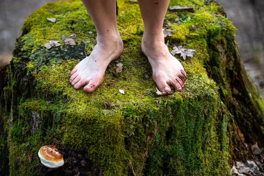 Topraklama Nedir? Faydaları ve Kullanım Alanları